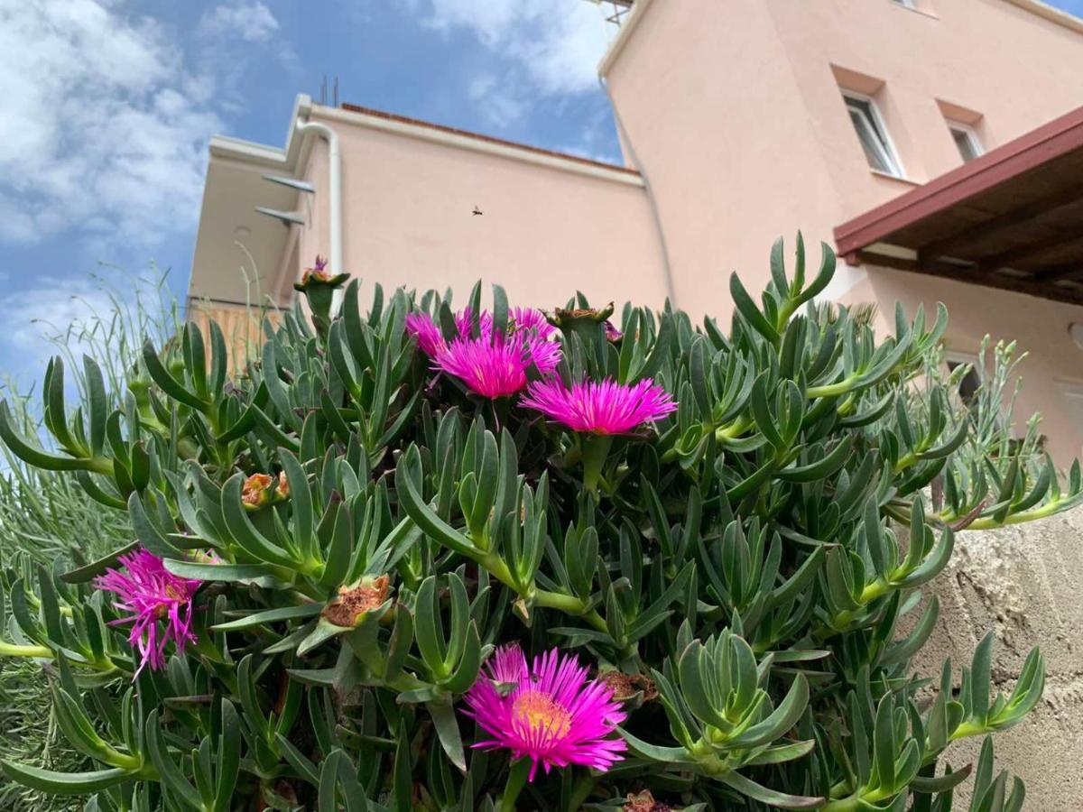 Vila Bella Jaz Budva Buitenkant foto
